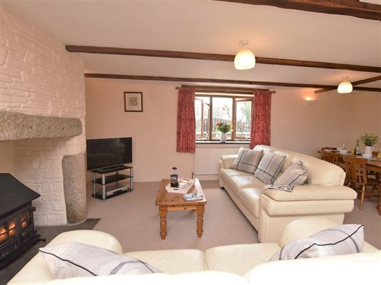 living space woodburner